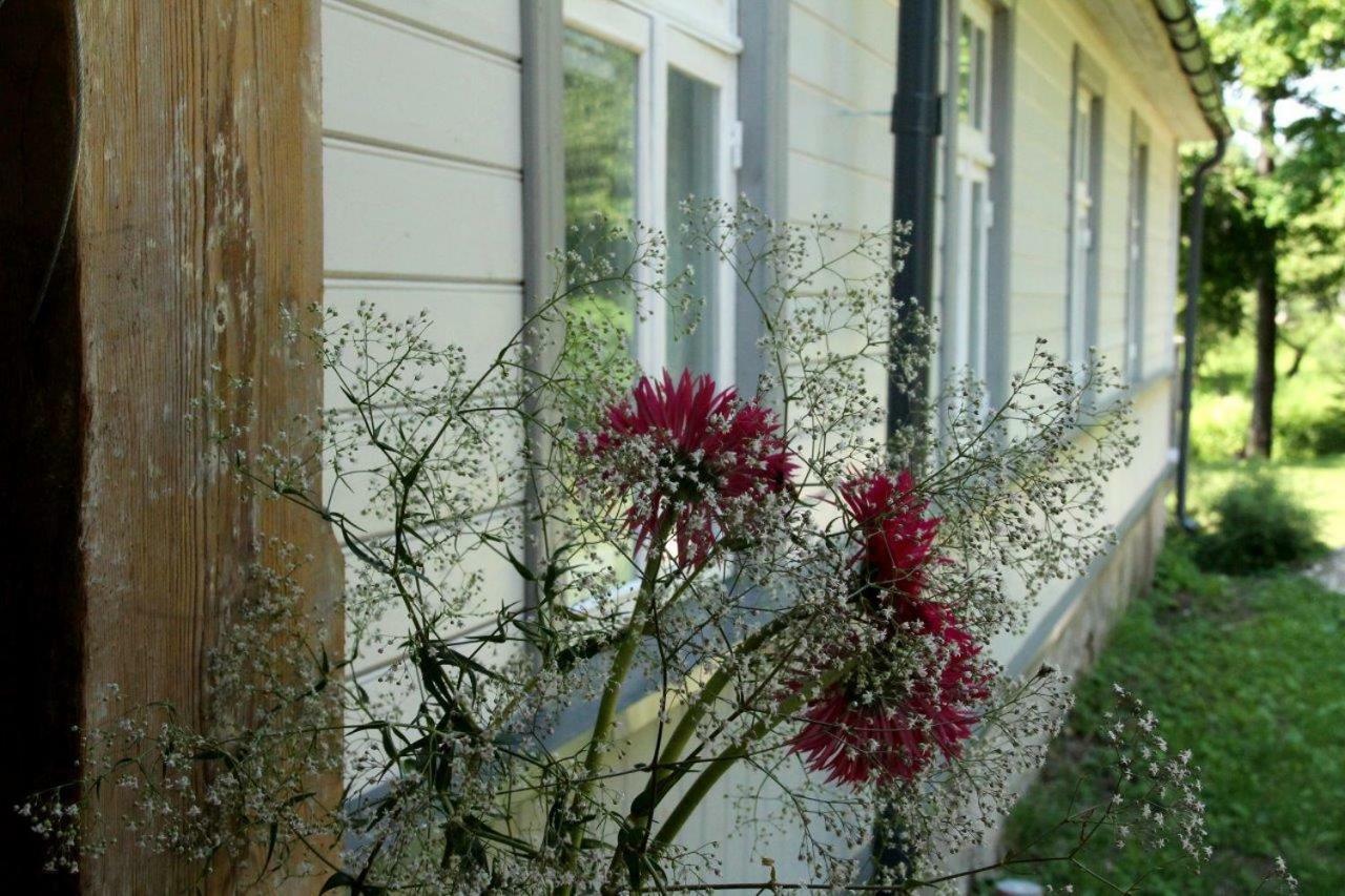 Meke Otel Mustkalni Dış mekan fotoğraf